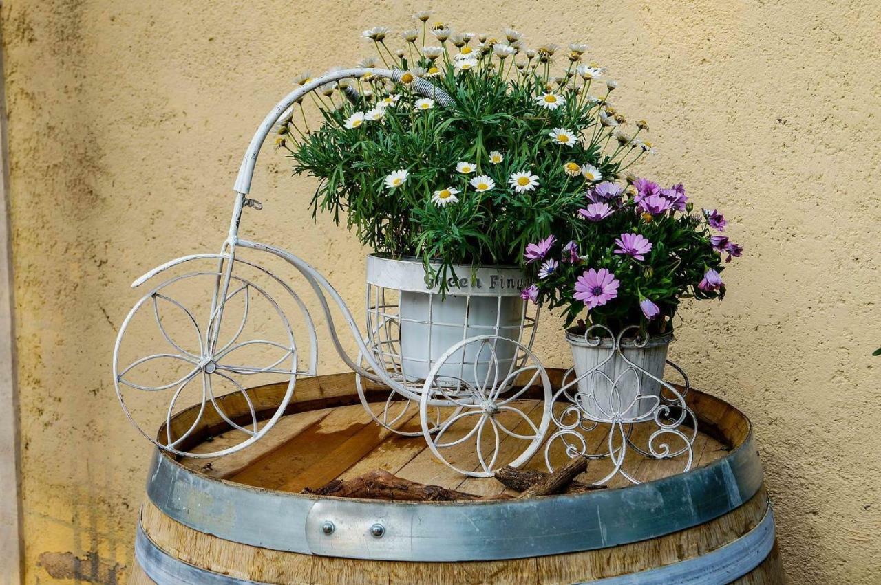 Bed and Breakfast Casale Del Sole Garda Monzambano Zewnętrze zdjęcie